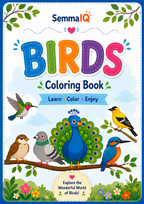 Birds Coloring Book