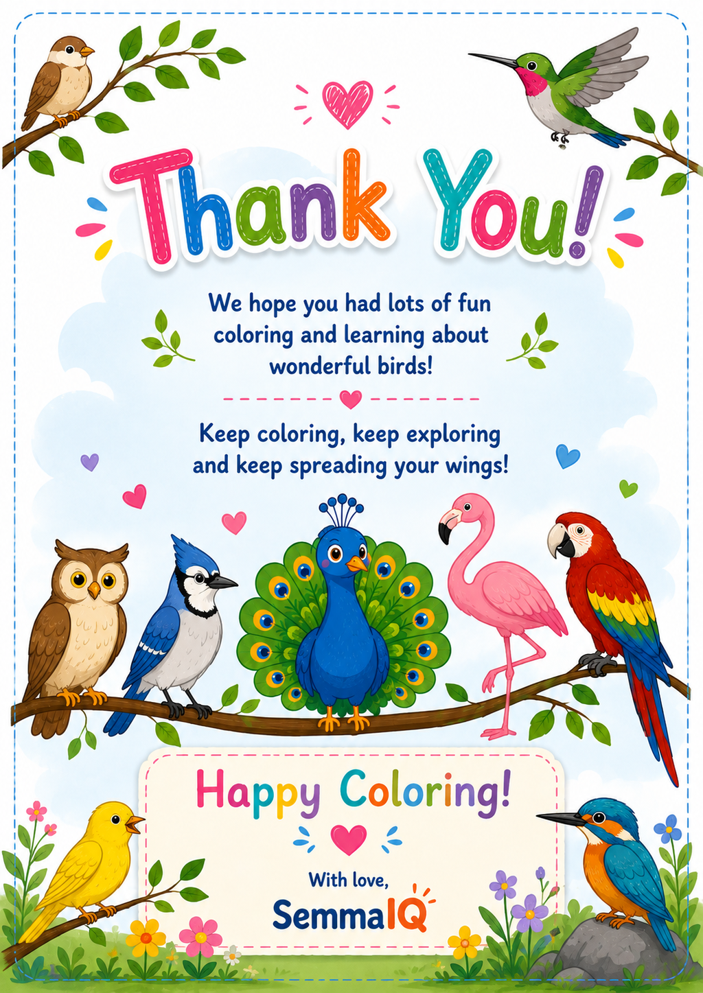 Birds Coloring Book