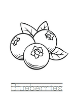 Fruits Coloring Book
