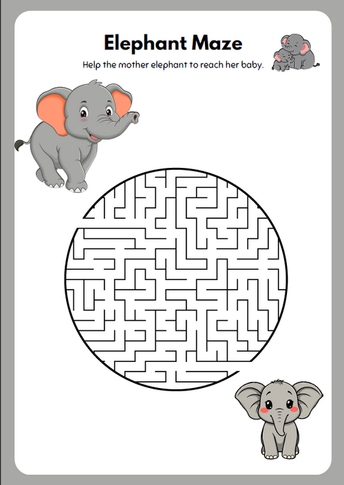 Animal - Activity Book