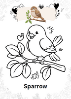 Birds Coloring Book