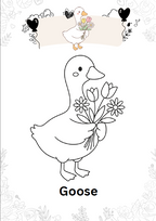 Birds Coloring Book