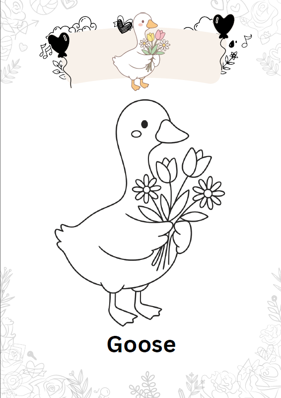 Birds Coloring Book