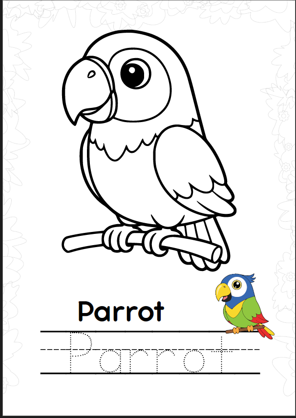 Jungle Coloring Book – Animals, Birds & Insects